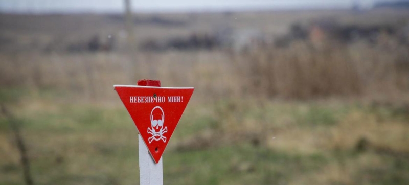 Фермеры и предприниматели Сумской области получают комплексную поддержку от Фонда восстановления общин Украины