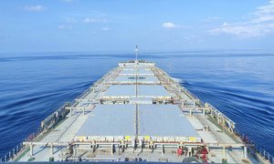 Гуманитарный кризис на Ближнем Востоке: угроза мировым поставкам продовольствия