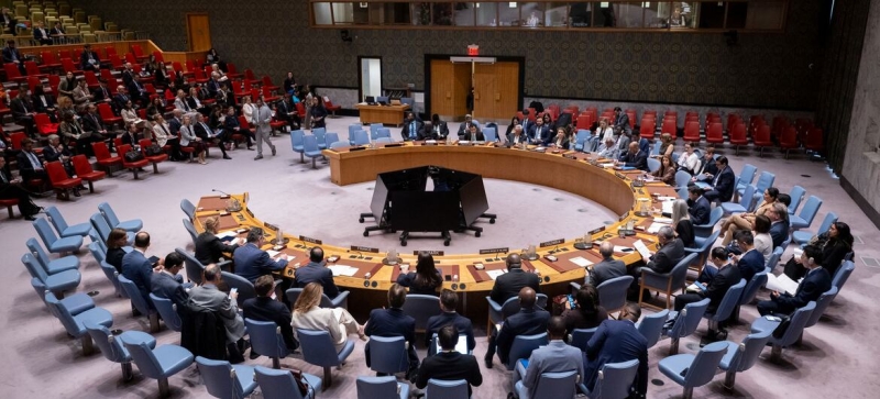 Заседание Совета Безопасности: партнерство ООН и ЕС играет важную роль на фоне растущей нестабильности